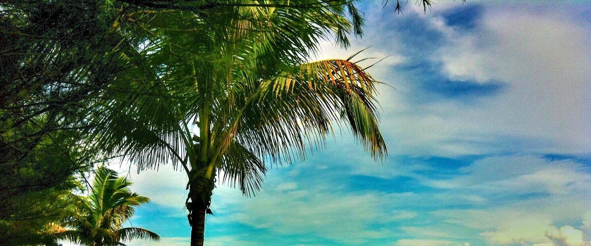 The views as the beautiful landscape with the shore , the nature have the beautiful with the views , views from my travel with vacation .