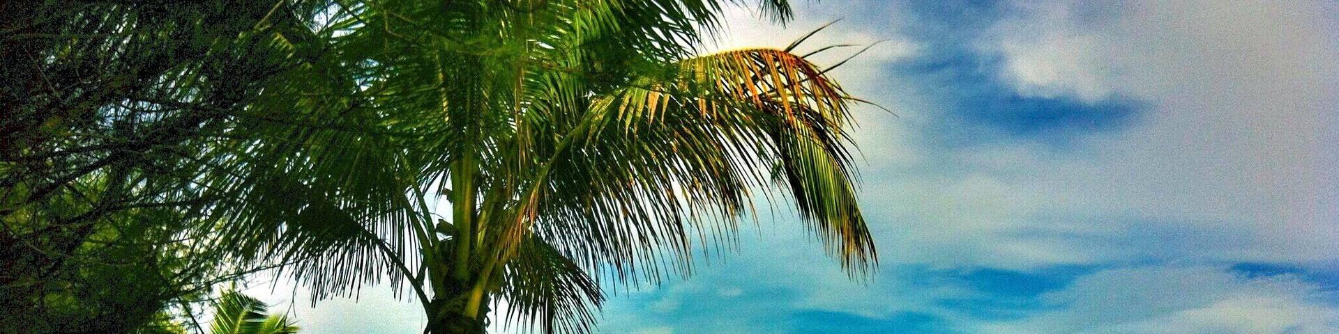 The views as the beautiful landscape with the shore , the nature have the beautiful with the views , views from my travel with vacation .