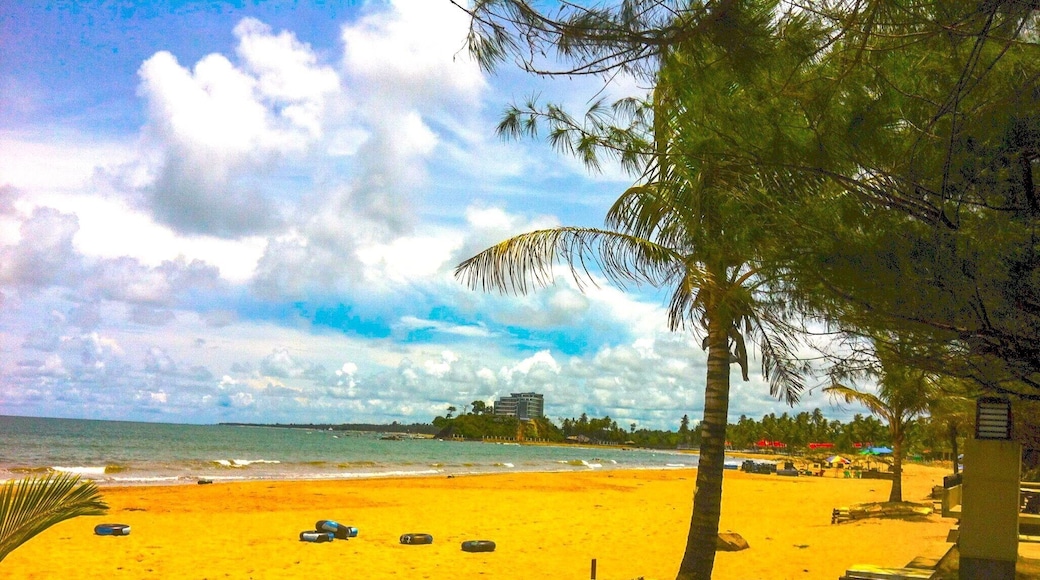 The views as the beautiful landscape with the shore , the nature have the beautiful with the views , view from my travel with vacation .