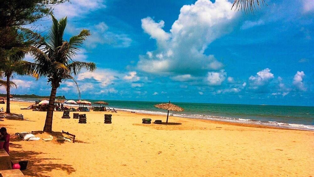 A beach with palm trees, umbrellas, and a clear blue sky.