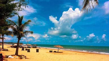 Uma praia com palmeiras, guarda-sóis e um céu azul límpido.