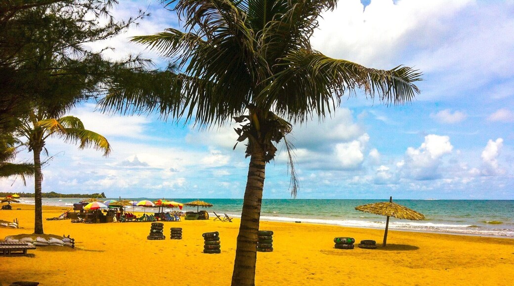 The views as the beautiful landscape include the some view , the nature have the beautiful with the views , view from my travel with vacation .