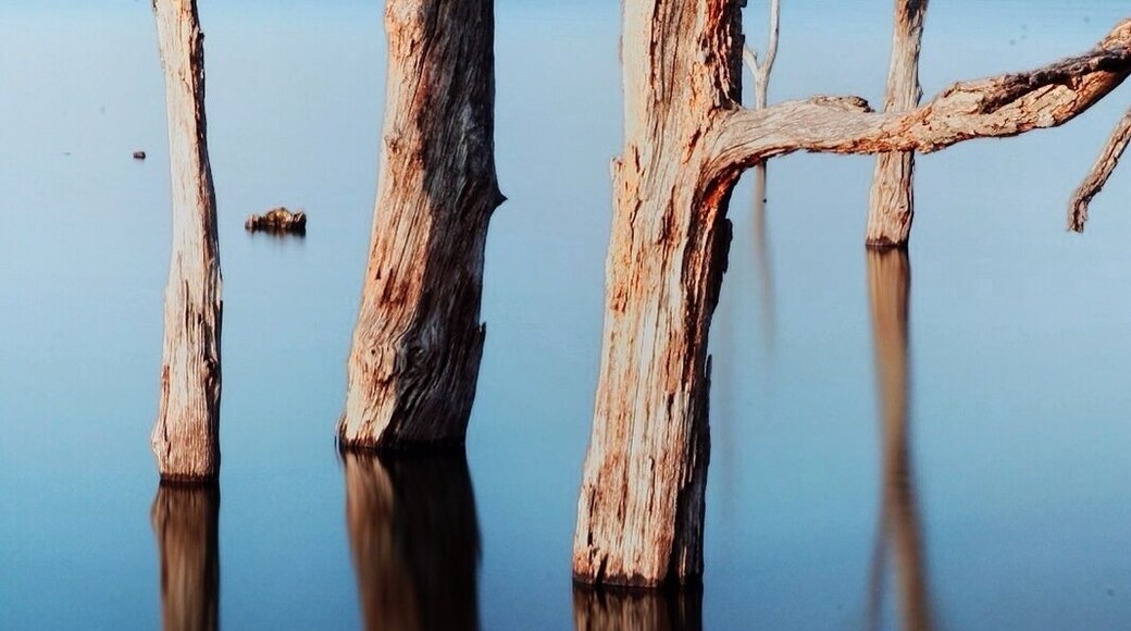 This is Lake Sugema. So, There I was. In Iowa, fir the second time in my life. Trying to find a place to camp. I wanted to camp on a small lake or river so I could fish. I planned on spending a couple days relaxing and fishing. First I headed into Iowa planning on staying at a campground about 70 miles west of here. but I forgot, some places don't open until Memorial Day, and that place was closed. So East I headed. I found this place as a fluke, Driving down Highway 2 there was just a small sign with a tent on it and left. Having no idea, I went left and found an absolutely amazing campground. it has about 7 tent sites, which is what we used, and about 20 full hookups. AND WARM WATER SHOWERS!!!!!! The water in the lake was still cold enough nothing was within casting distance from the shore, but during the summer this small lake boasts some of the best fishing in the state. More over, it is a man made lake and as such there are trees out into the lake. So after hiking around the area I went to taking some photos. These two shots are the same. black and white and color. They are about 2 minute exposures to even out the water. Tell me what you think.
Like B/W or color?