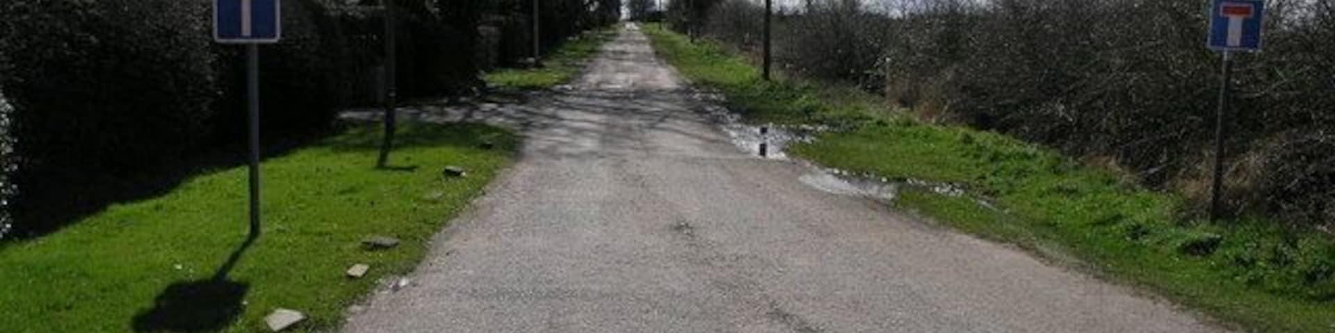 Une route de campagne avec un panneau indiquant la vitesse maximale autorisée, un panneau d’interdiction d’accès et un panneau de direction.