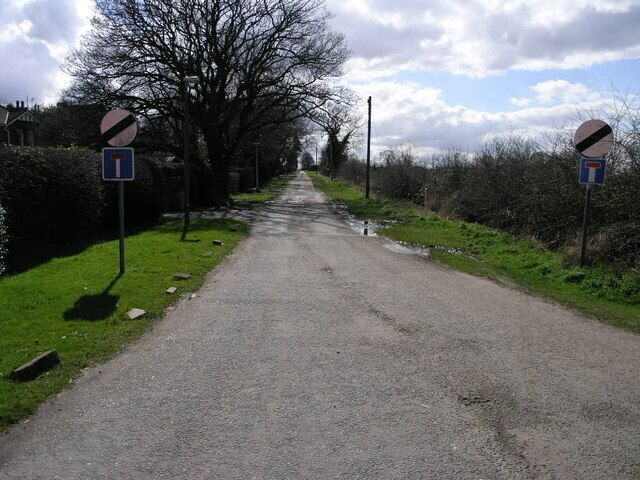 A rural road with a speed limit sign, a no entry sign, and a direction sign.