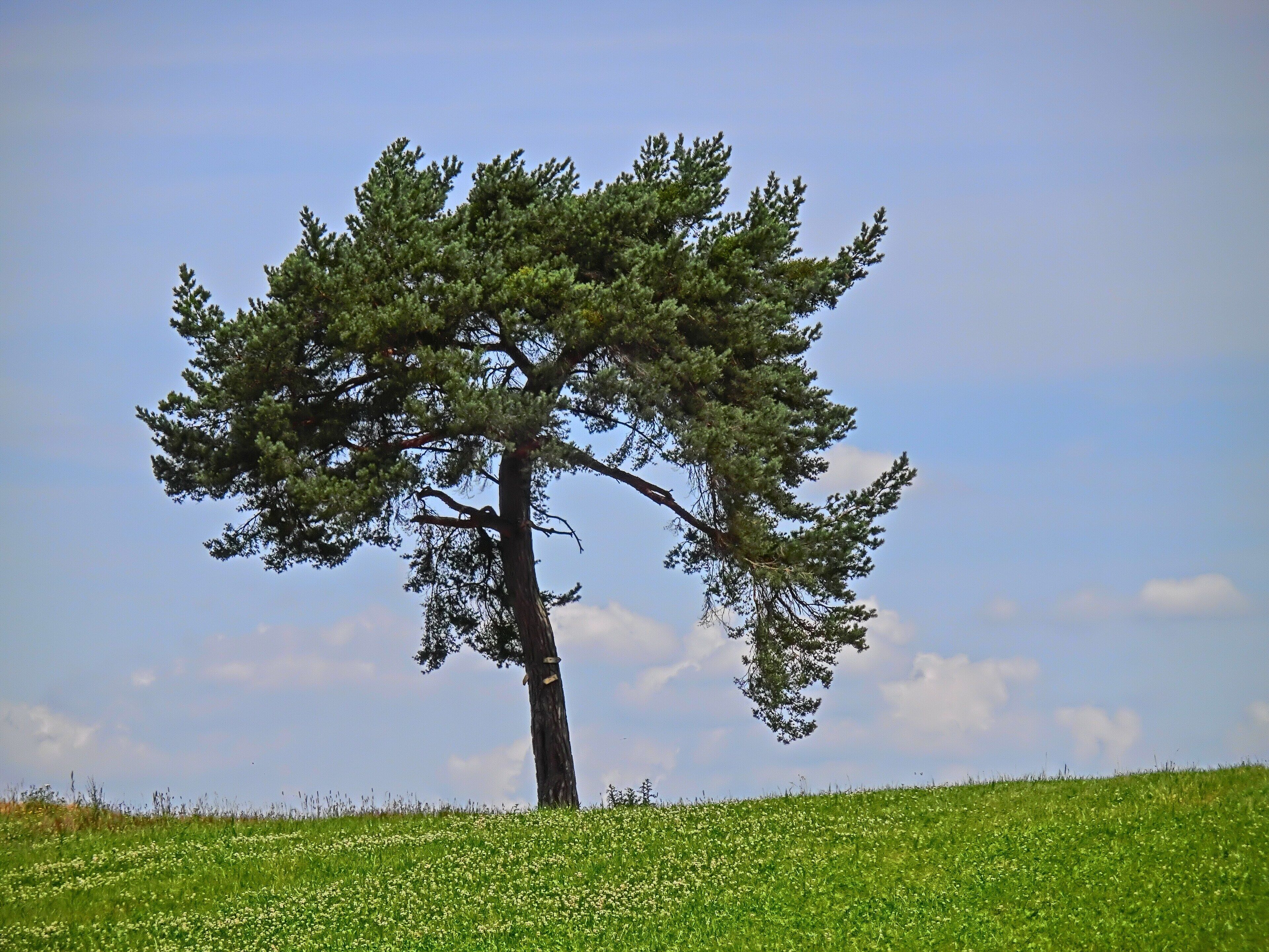 Auf dem Weg nach Hölle