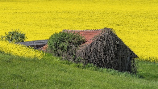 Barn located between Weisbrunn and Oberaurach