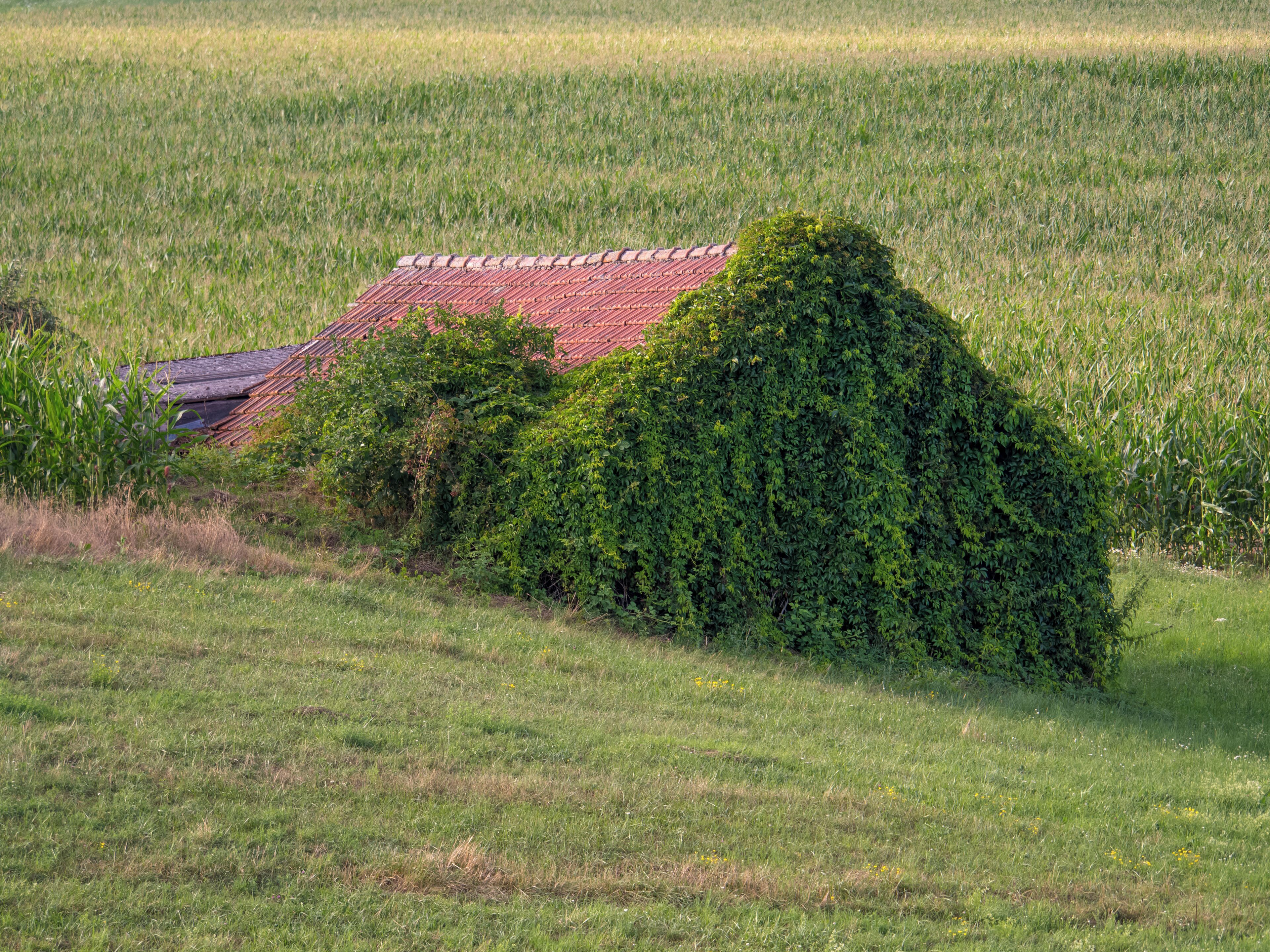 Barn between Weisbrunn and Oberaurach