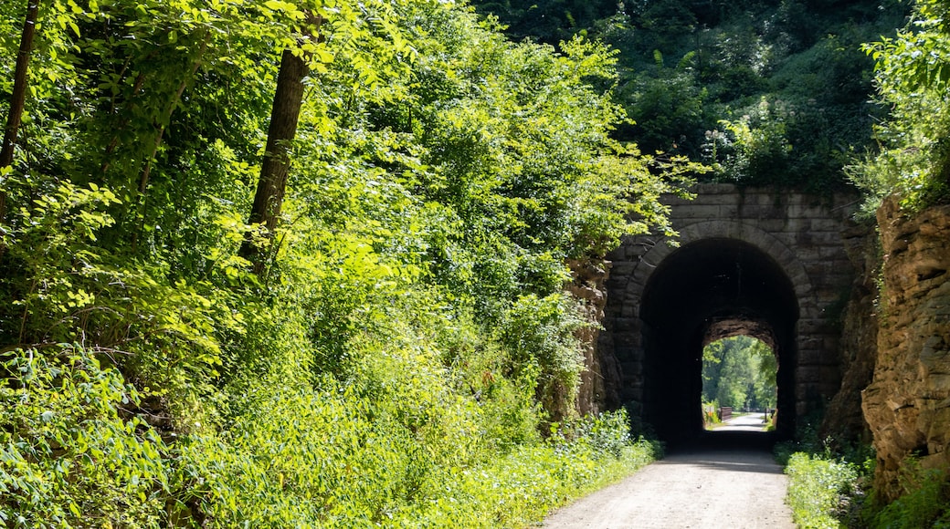Katy Trail State Park