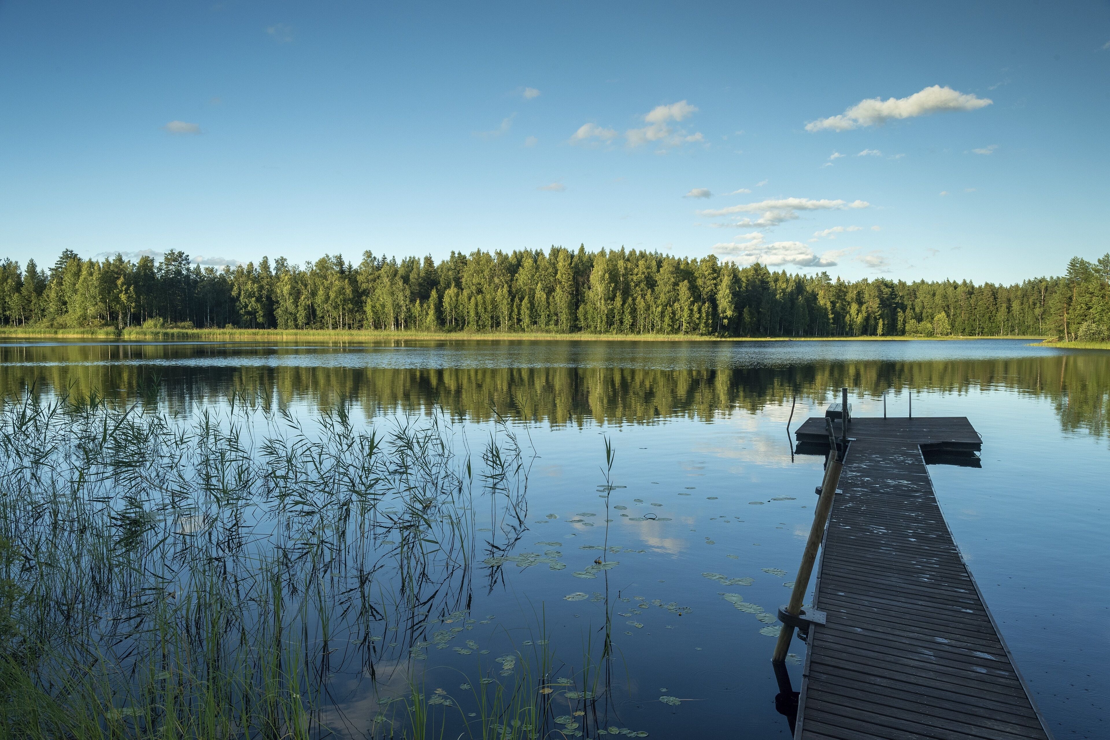 Long footbridge leading out to the lake, forest, near Hartola, Finland