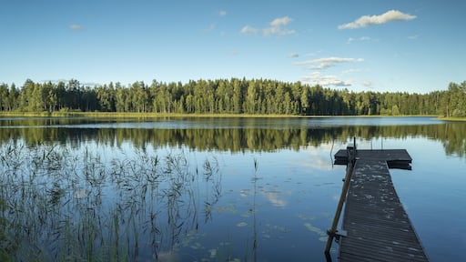 Long footbridge leading out to the lake, forest, near Hartola, Finland