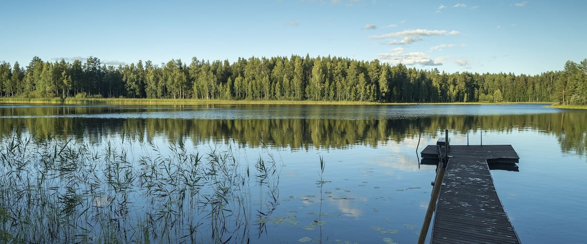 A calm lake with a wooden dock extending into the water, surrounded by dense forest.