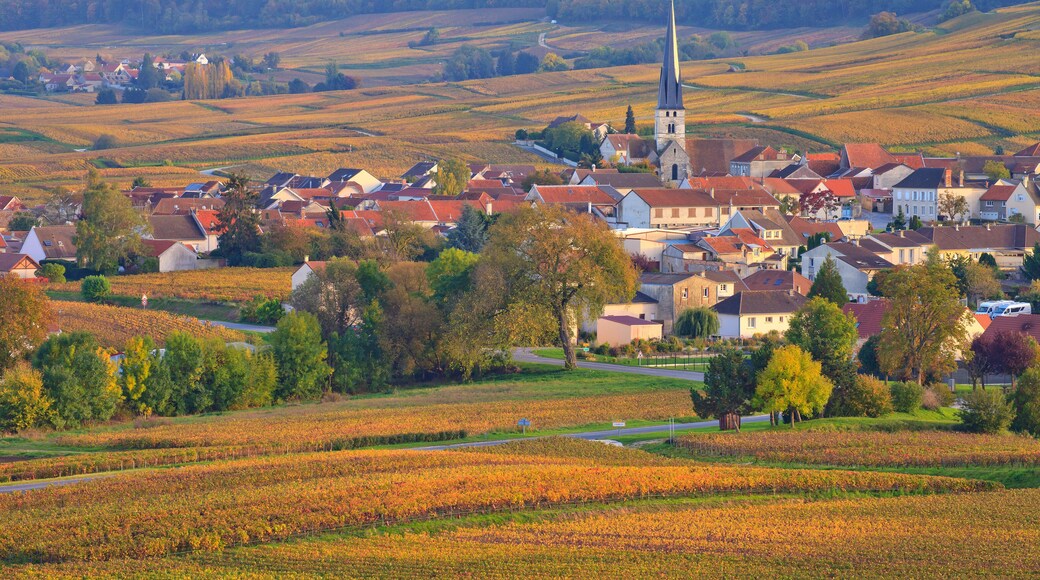 Champagne, village de Chamery