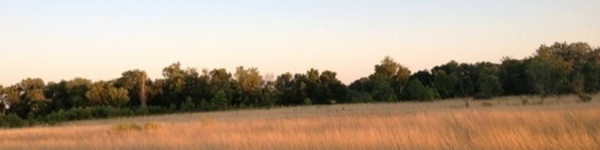 Golden fields at sunset.