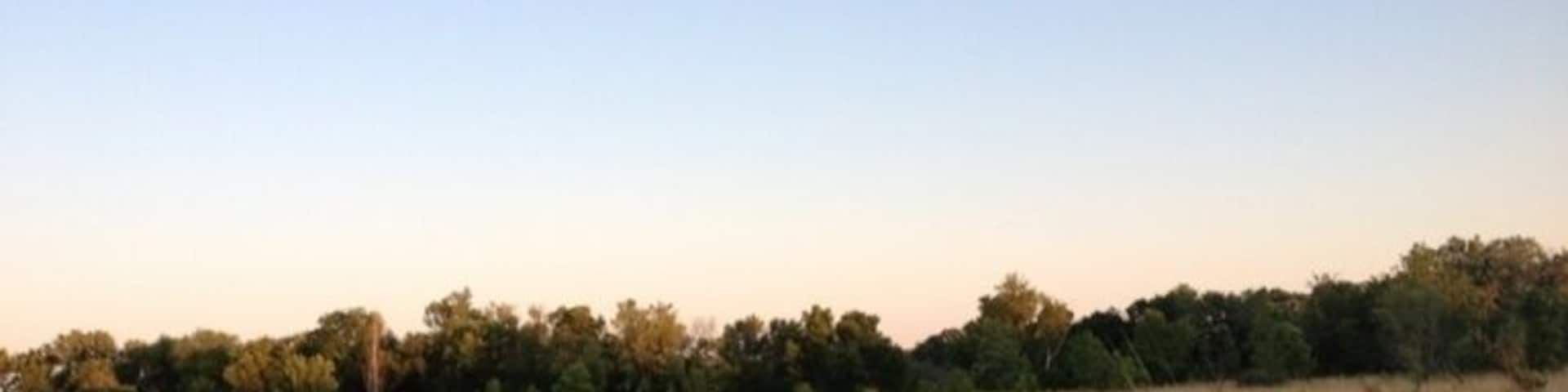 Golden fields at sunset.