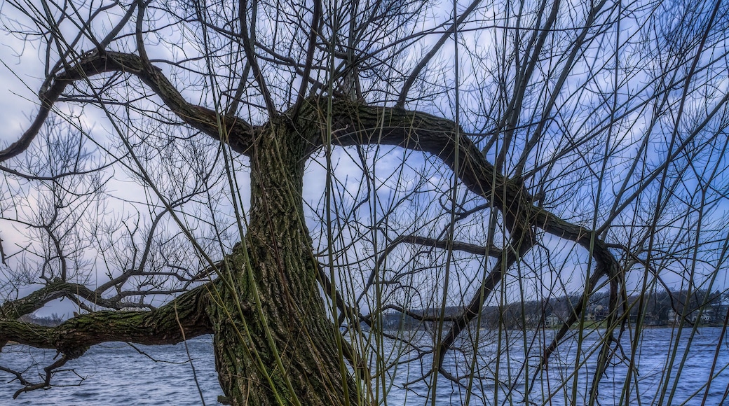 Elinor Bedell State Park