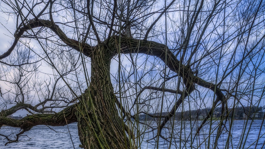 Elinor Bedell State Park
