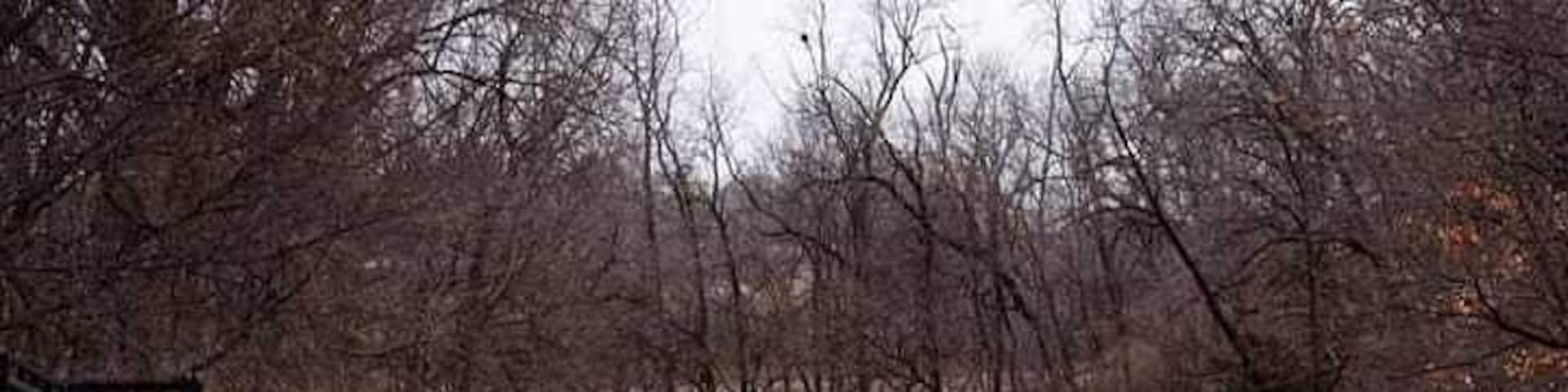 Doing photography as a hobby. I took this 1st day of 2019. It was cloudy and a little bit chilly.