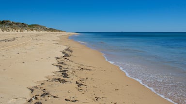 Una spiaggia sabbiosa con onde calme e un cielo azzurro limpido.