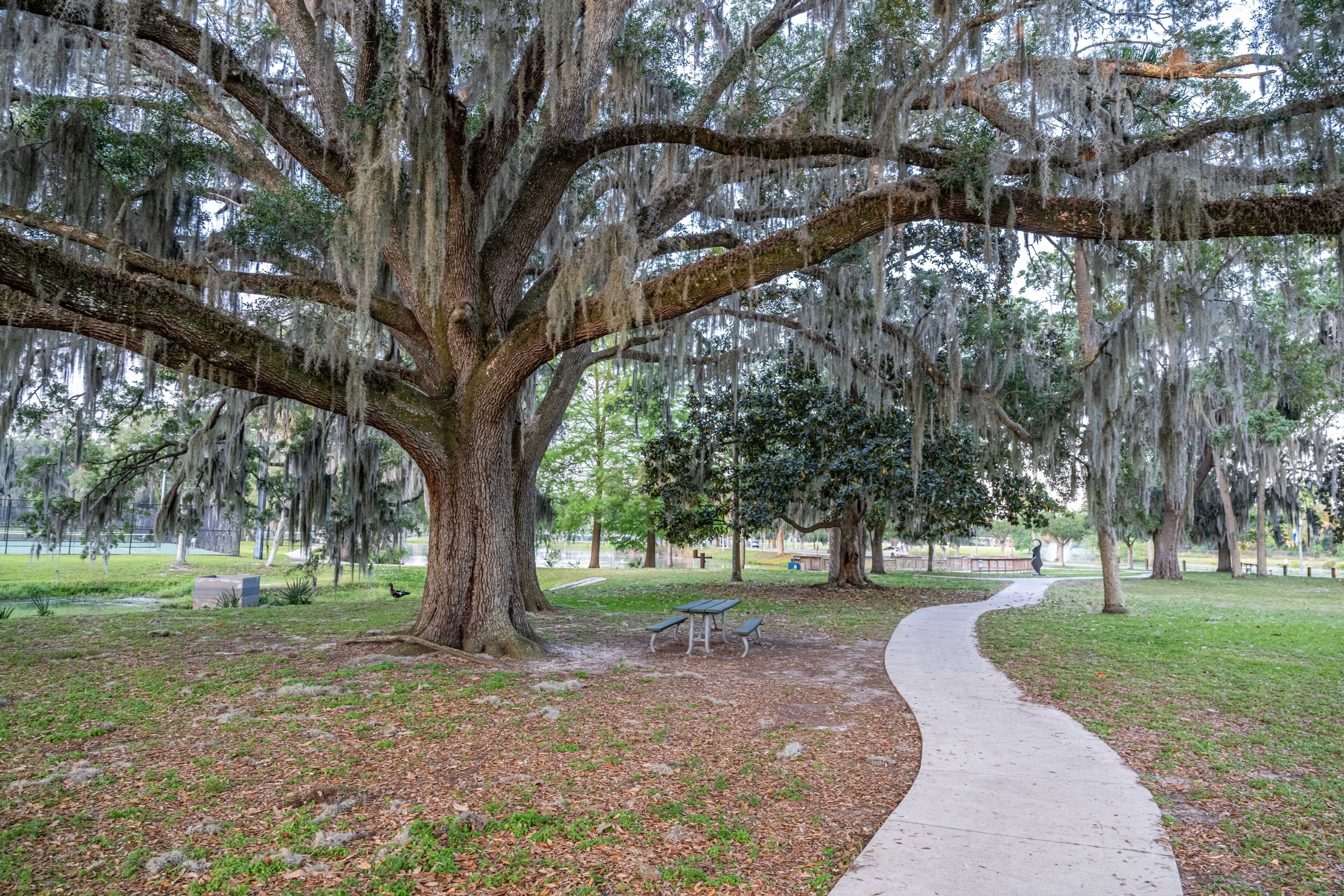 ดันเนลลอน