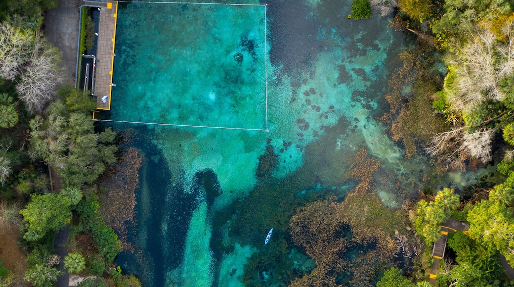 Beautiful aqua springs at Rainbow Springs State Park, Florida on a summer day, Aerial view