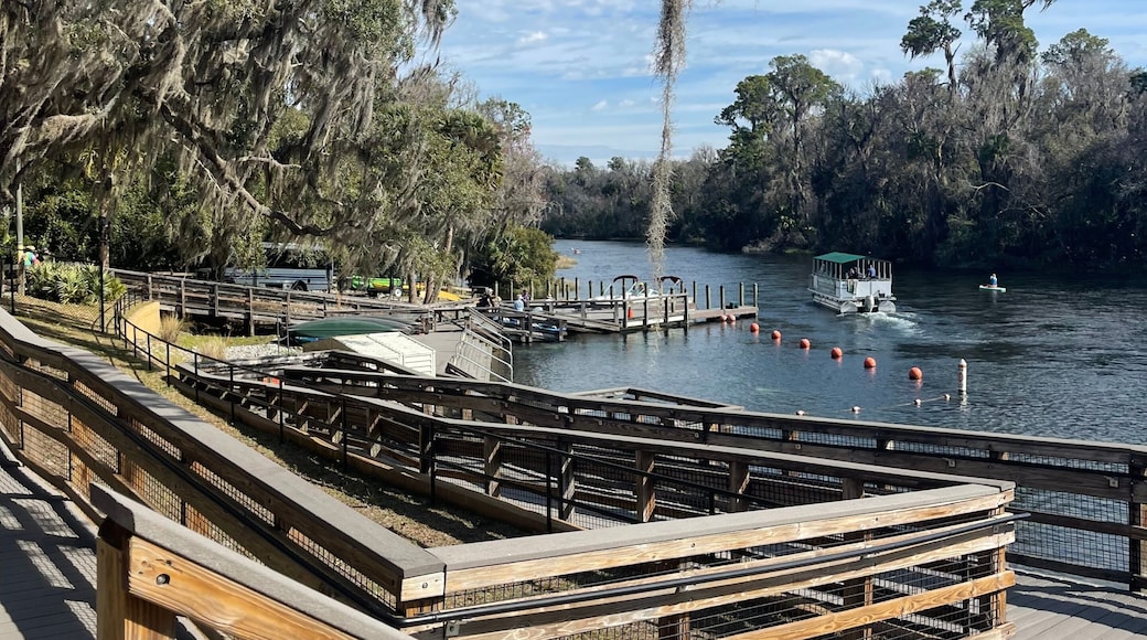 Kayaks and docks line KP Hole County Park on the Rainbow River, Dunnellon, Florida