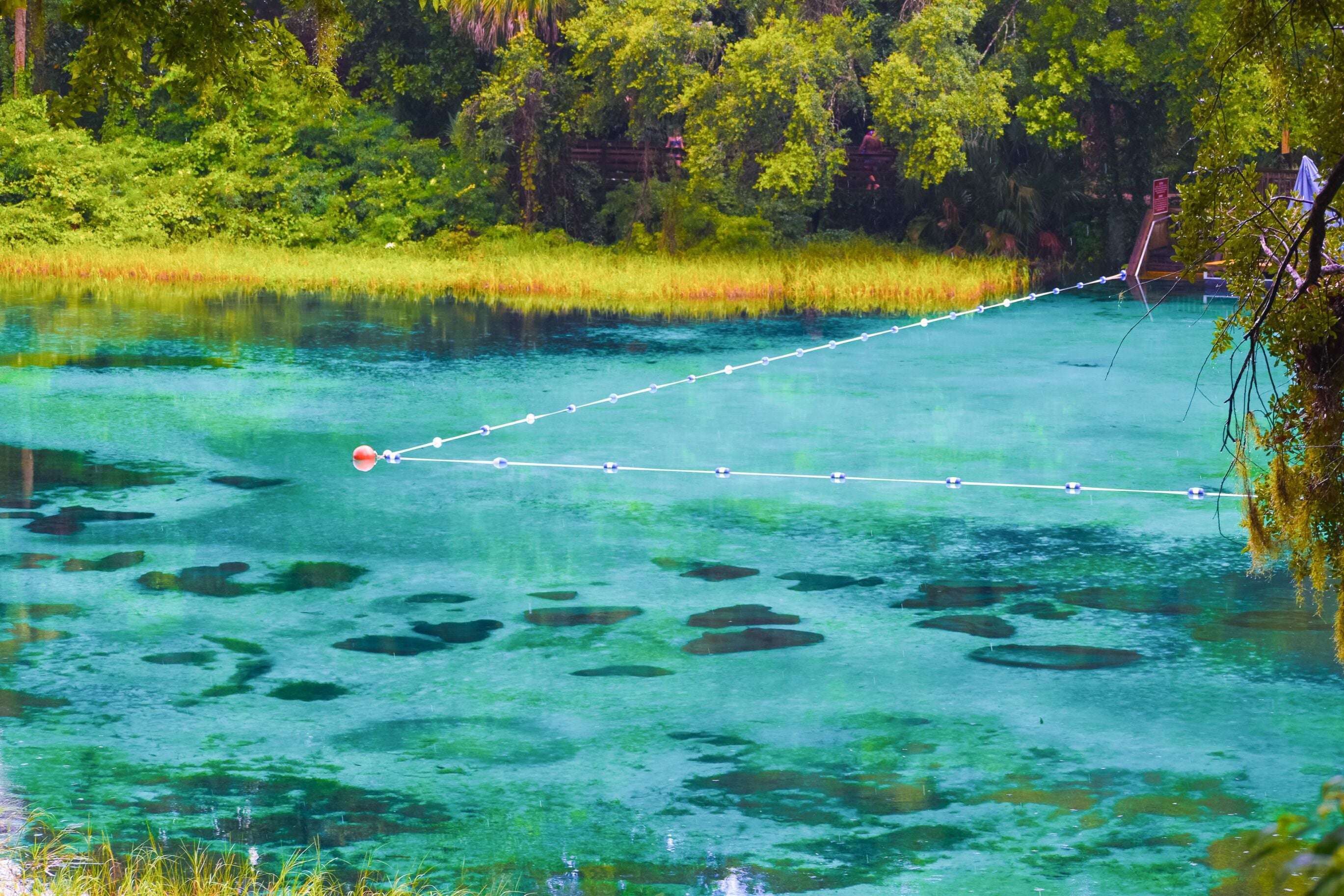 Rainy day at Rainbow Springs State Park in Florida