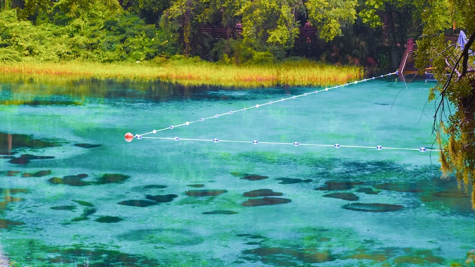 A clear lake with a rope barrier and lush greenery in the background.