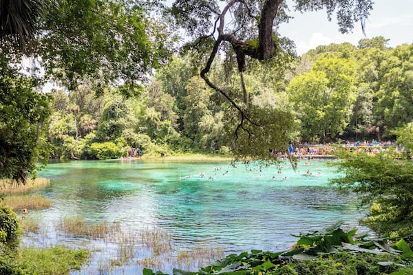 Florida is known for their gorgeous springs. Rainbow Springs State Park is definitely one that is truly captivating. Read the full travel guide here: https://thewalkingmermaid.com/blog/rainbow-springs-state-park-florida