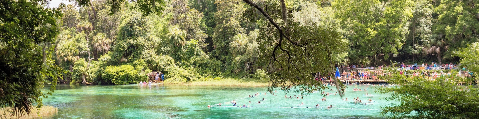 Florida is known for their gorgeous springs. Rainbow Springs State Park is definitely one that is truly captivating. Read the full travel guide here: https://thewalkingmermaid.com/blog/rainbow-springs-state-park-florida