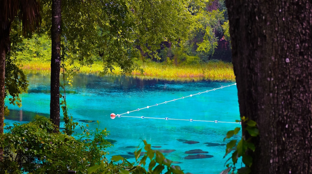 Rainy day at Rainbow Springs State Park in Florida