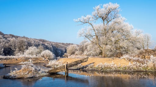 This is a picture of the protected area listed at WDPA under the ID