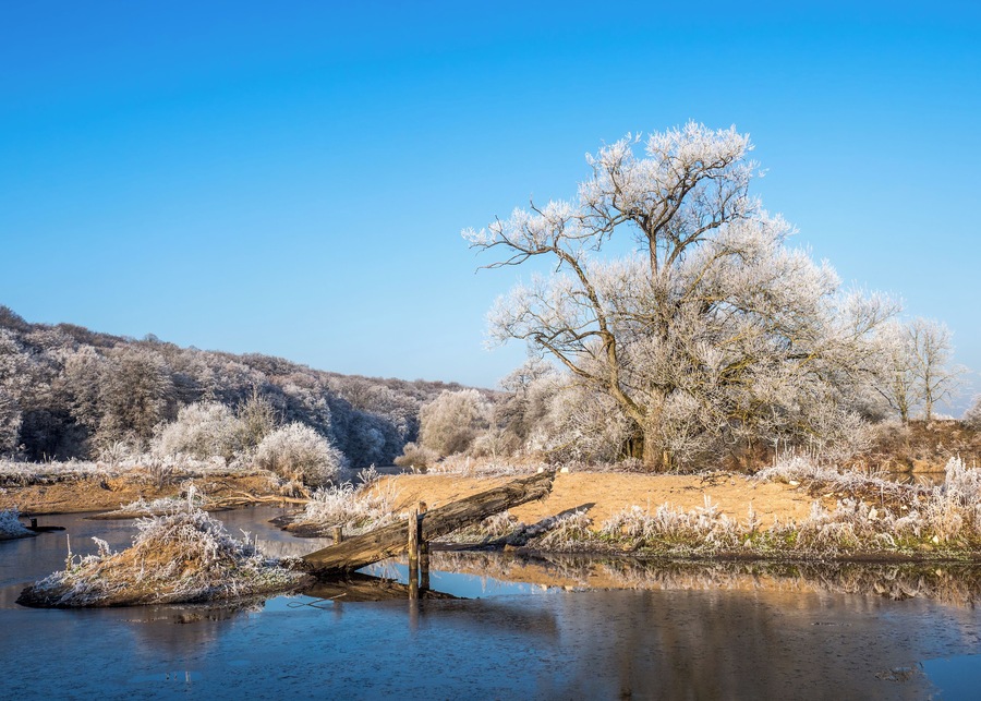 A frost-covered landscape with a river, a fallen tree, and a clear blue sky.
