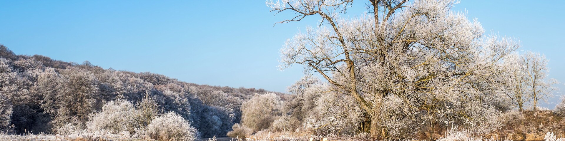 This is a picture of the protected area listed at WDPA under the ID