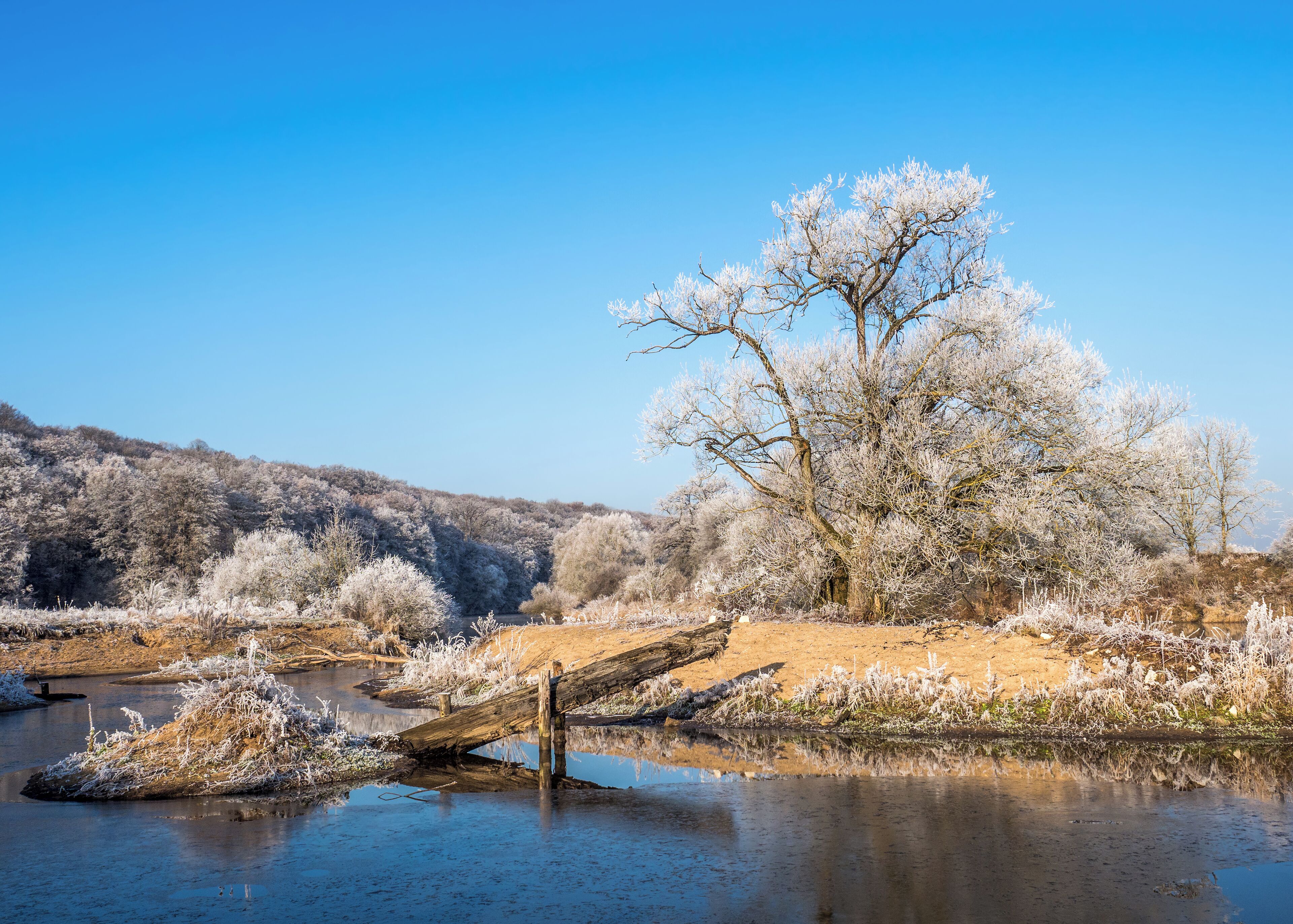 A frost-covered landscape with a river, a fallen tree, and a clear blue sky.