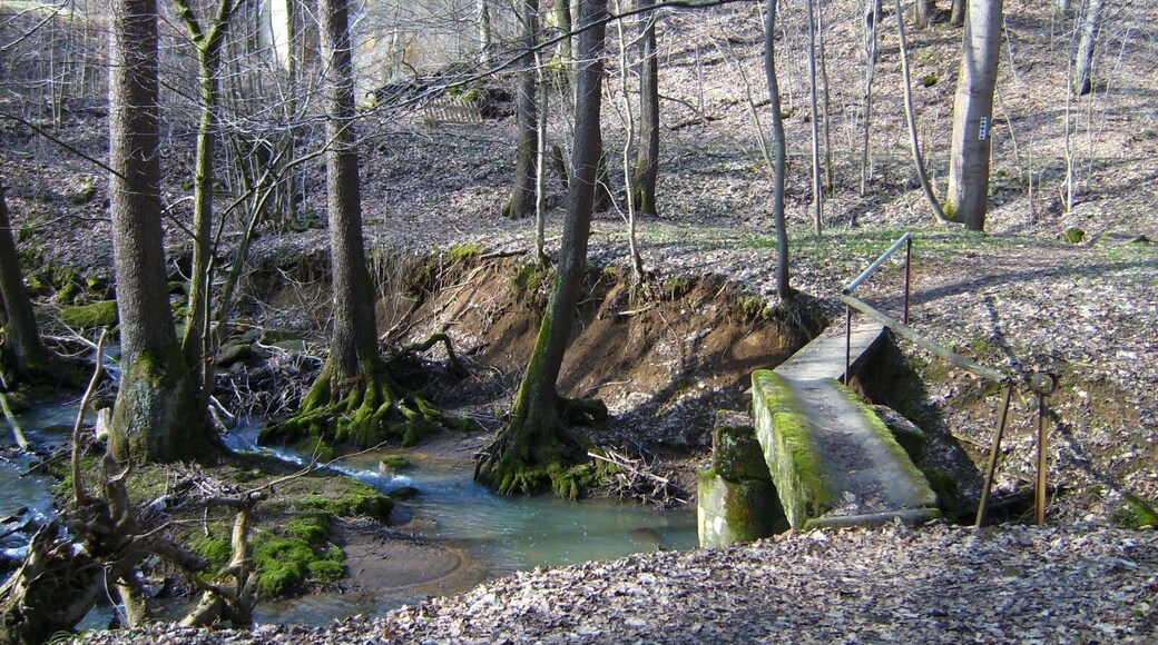 Steg an der SteinmĂŒhle (bis 2012)