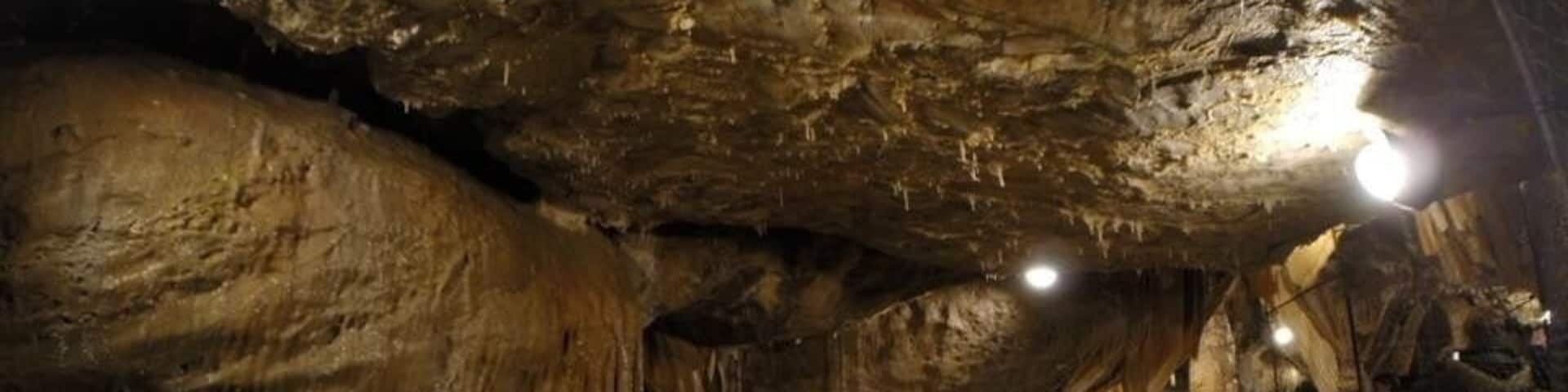 A little gem well worth a visit the only downside you can't take your DSLR inside but if you have a GoPro you can as it's small but still a must see.