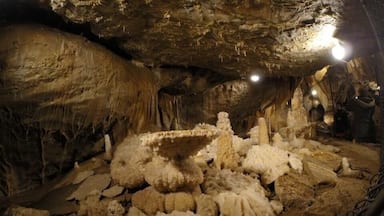 A little gem well worth a visit the only downside you can't take your DSLR inside but if you have a GoPro you can as it's small but still a must see.