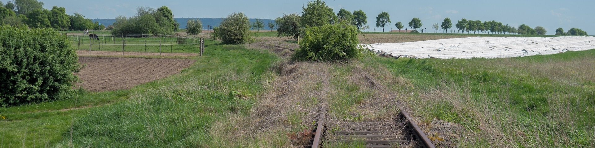 Track of the railway line Schweinfurt - Kitzingen