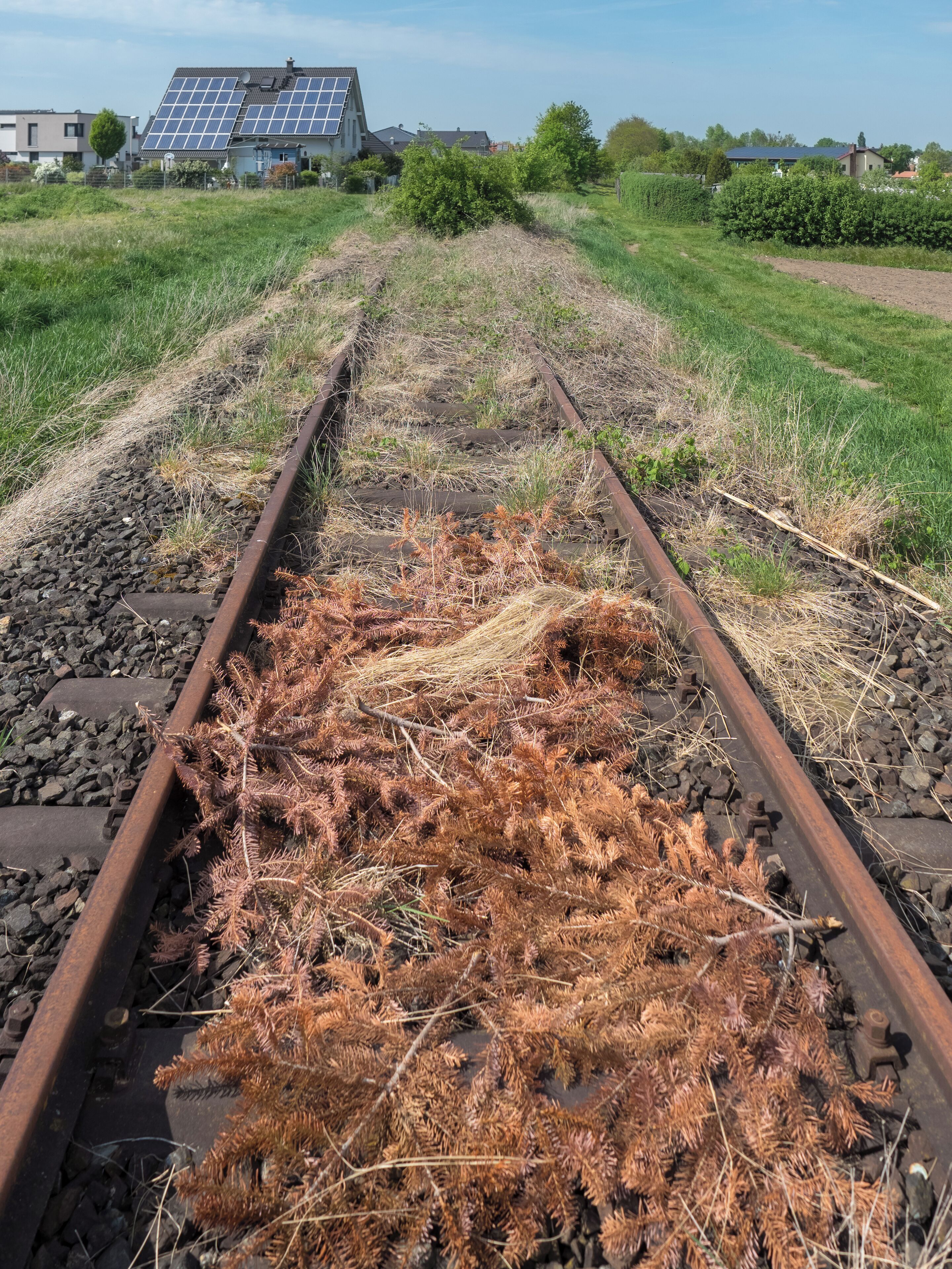 Track of the railway line Schweinfurt - Kitzingen. Direction Stadelschwarzach.