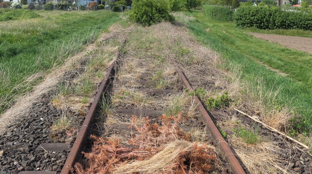 Track of the railway line Schweinfurt - Kitzingen. Direction Stadelschwarzach.