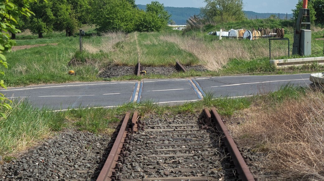 Track and level crossing over ST2420 of the railway line Schweinfurt - Kitzingen Direction Geesdorf.