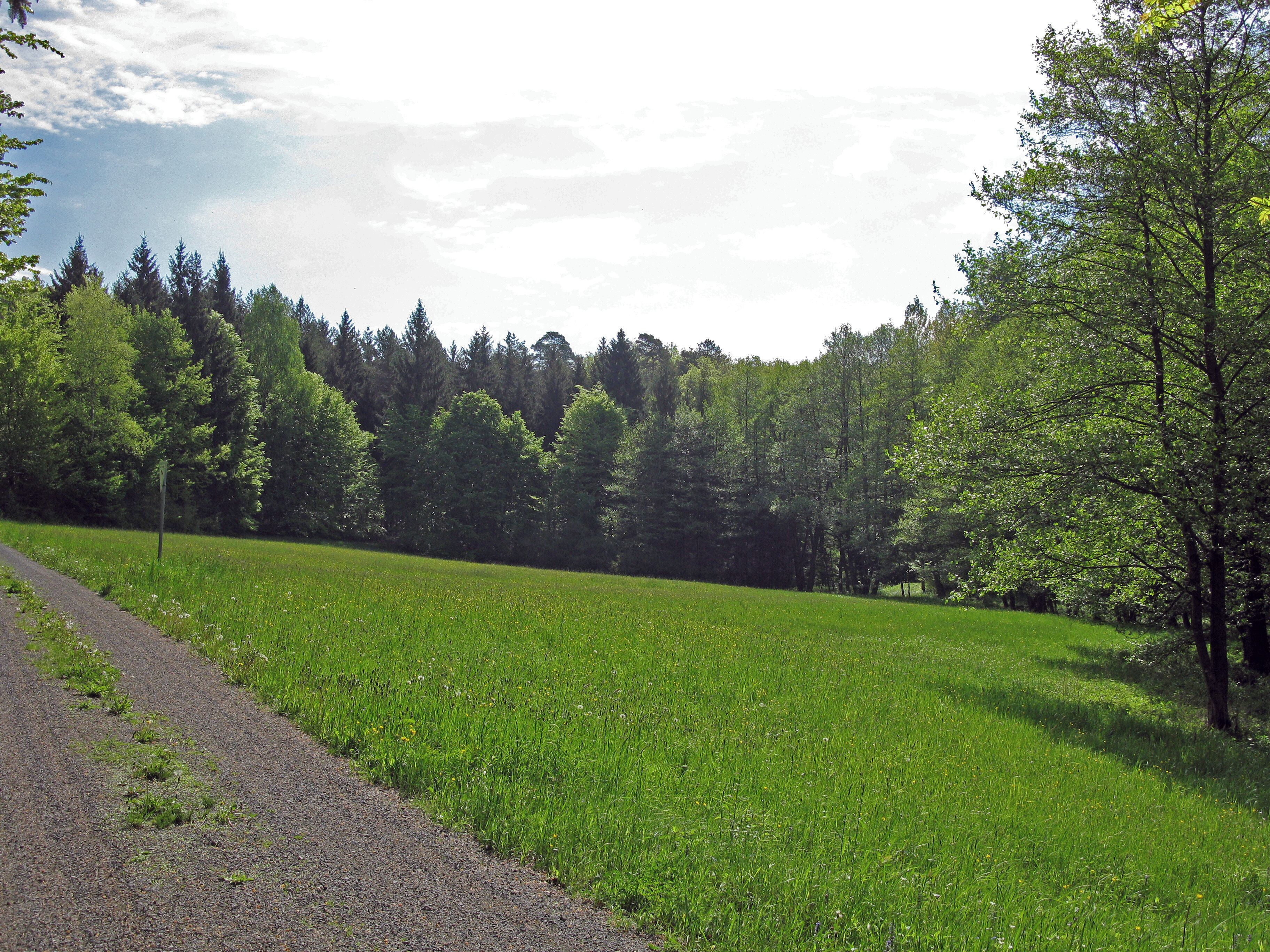 (NSG:BY-NSG-00375.01)_Schulterbachtal Wiese im Schulterbachtal