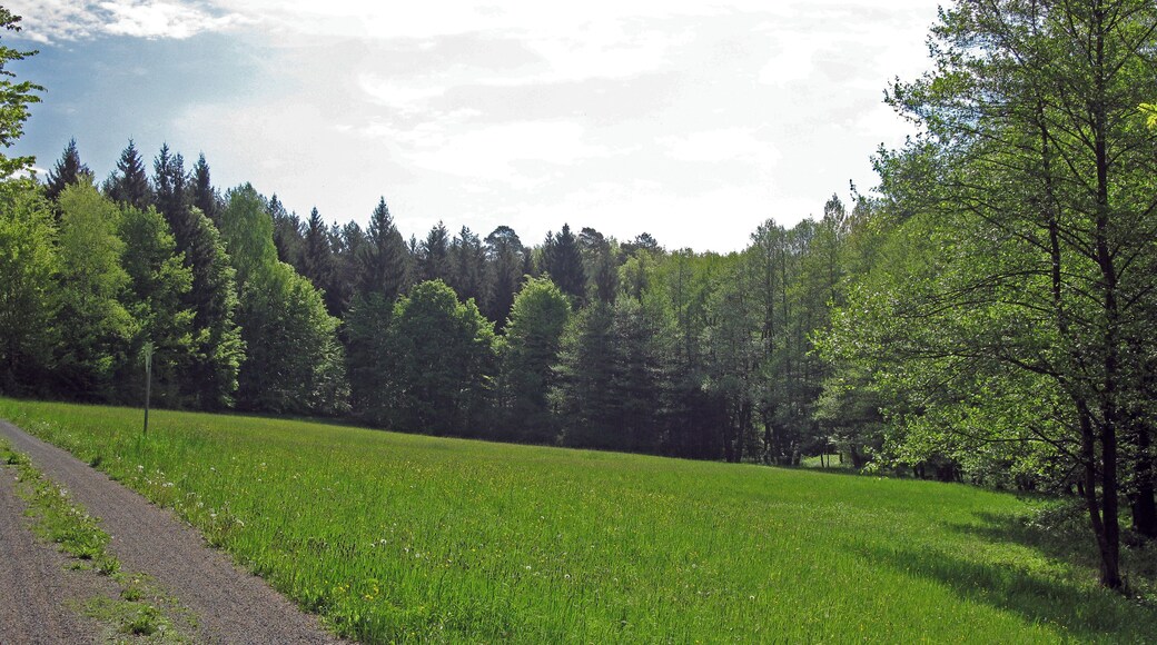 (NSG:BY-NSG-00375.01)_Schulterbachtal Wiese im Schulterbachtal