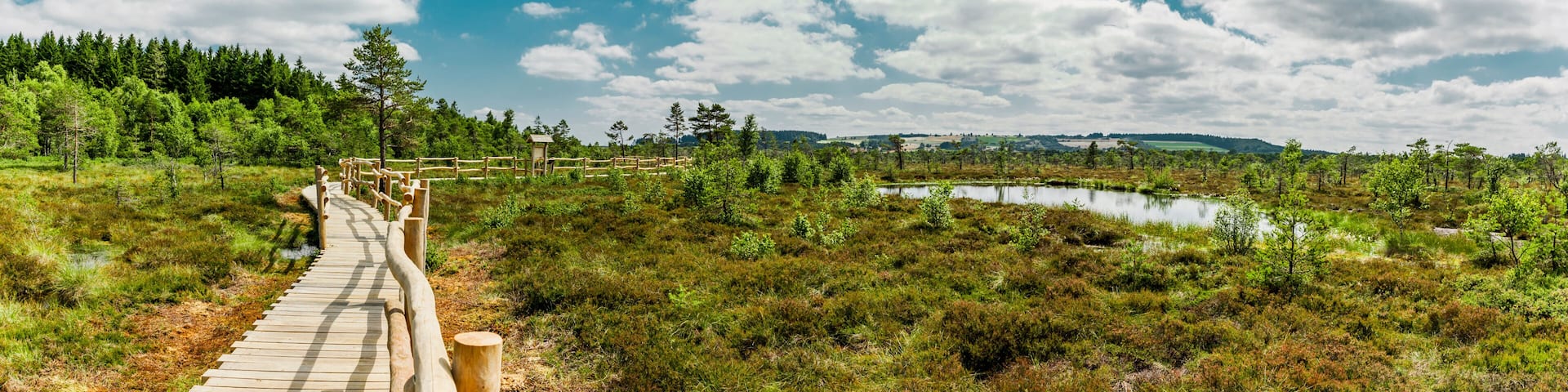 Holzweg durch das Schwarze Moor in der Rhön