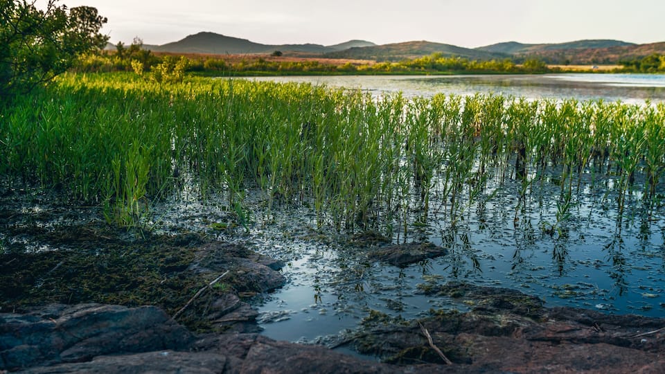 A marshland with water, green grass, and distant hills.