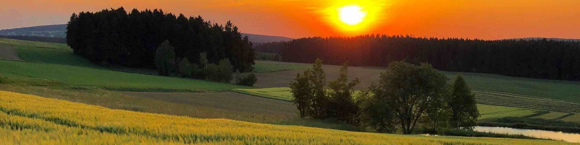 In the fields ...
Near Selb, Fichtel Mountains, Bavaria, Germany
#Nature