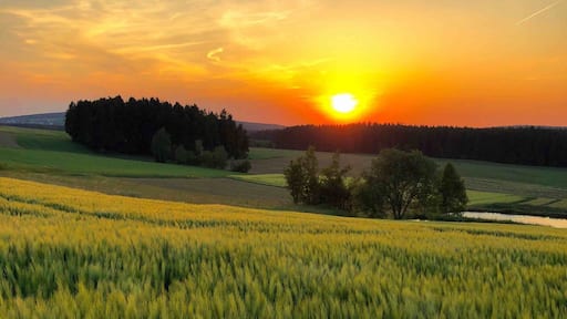 In the fields ...
Near Selb, Fichtel Mountains, Bavaria, Germany
#Nature