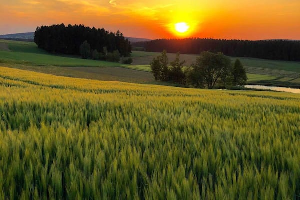 In the fields ...
Near Selb, Fichtel Mountains, Bavaria, Germany
#Nature