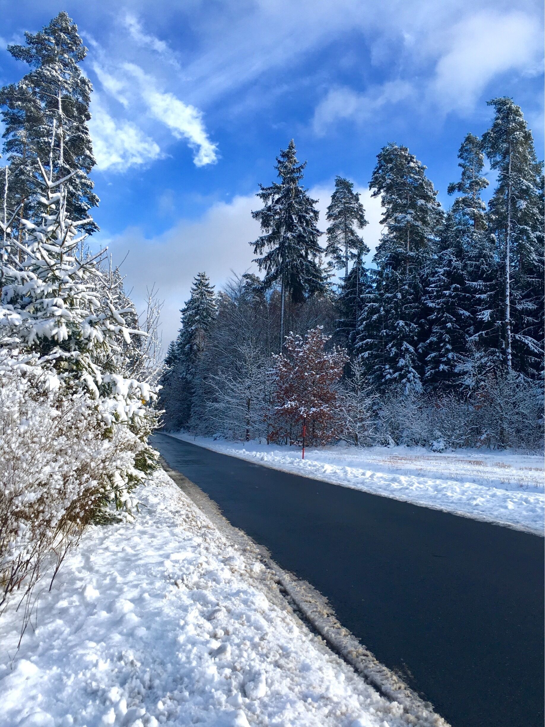 Winter near Selb in the Fichtel Mountains (Fichtelgebirge), Bavaria, Germany
#Hometown